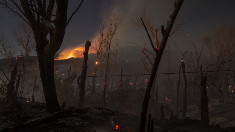 Най-малко 11 загинали при пожари в Калифорния
