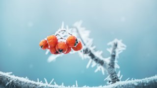 В средата на седмицата ще настъпи по-чувствително застудяване