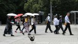 И колко още жега добавя топлинният остров в центъра