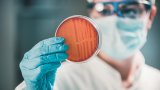 Нова технология влиза в търсенето на решение срещу супербактериите