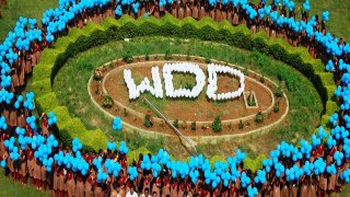 World-Diabetes-Day-920x360
