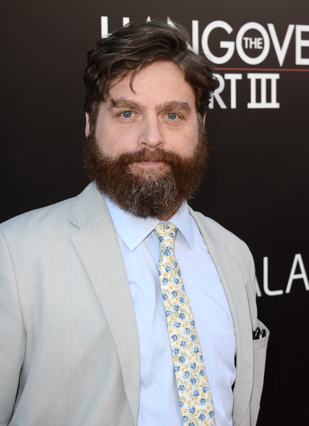 Premiere of Warner Bros. Pictures' "Hangover Part 3" - Red Carpet