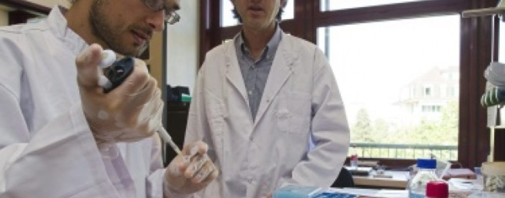 655-402-naj-vazhnite-nauchni-otkritiia-na-2011-g