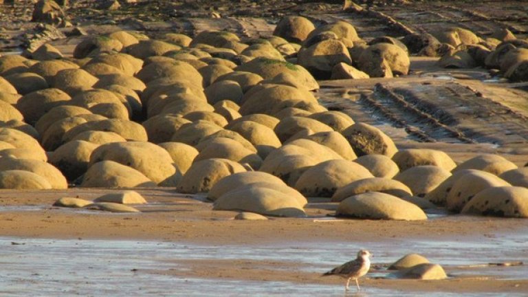Известният като Bowling ball beach в Калифорния се отличава със скалните си блокове, които през хилядолетията са добили гладка сферична форма