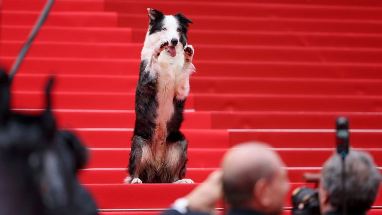 За голяма изненада на присъстващите сред гостите бе и кучето Меси от филма "Анатомията на едно падане".