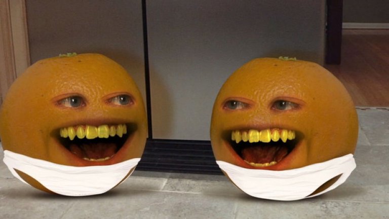"Досадният портокал" набра значителна популярност, след като започна единствено като уеб сериал. Тази година обаче Cartoon Network обяви, че поне засега спира производството му