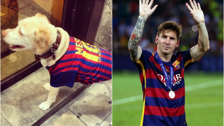 И накрая нещо още по-забавно: Халфът на Реал (Мадрид) Иско има дъщеря и отказа да я кръсти на футболист. Вместо това има куче, което се казва Лионел Меси, но го кръсти така преди да заиграе за „белия балет“.