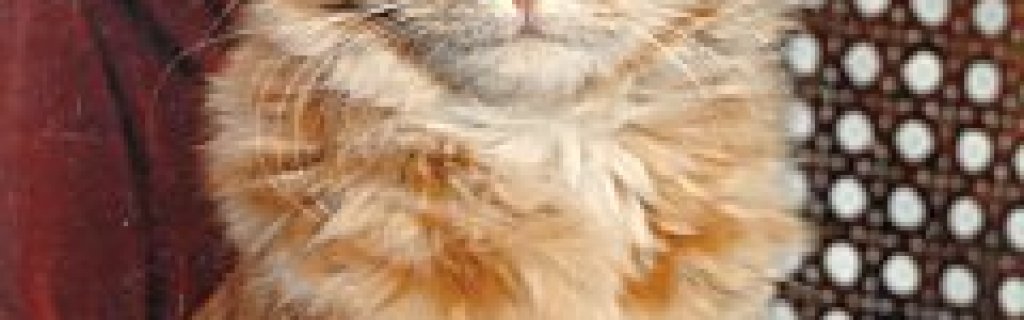 Dewey_Readmore_Books
