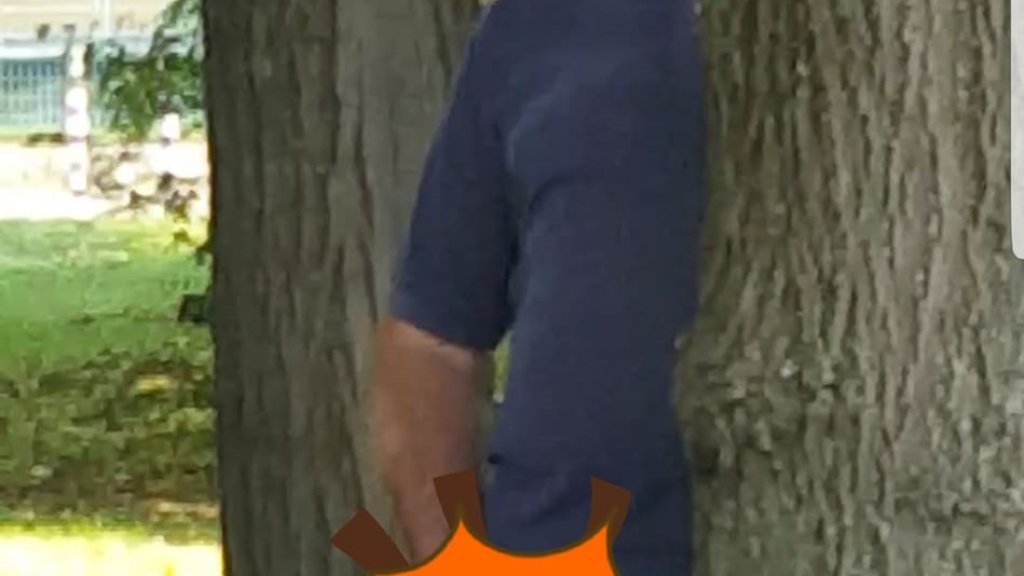 36222541_251827832064777_4667086664139538432_o