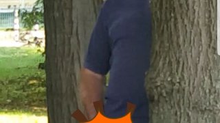 36222541_251827832064777_4667086664139538432_o