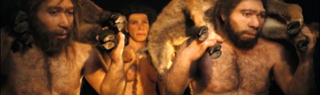 neandertal