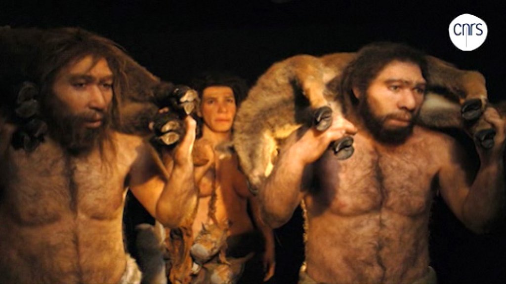 neandertal