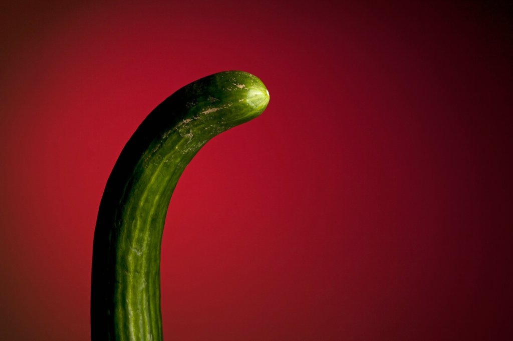 краставица, кур