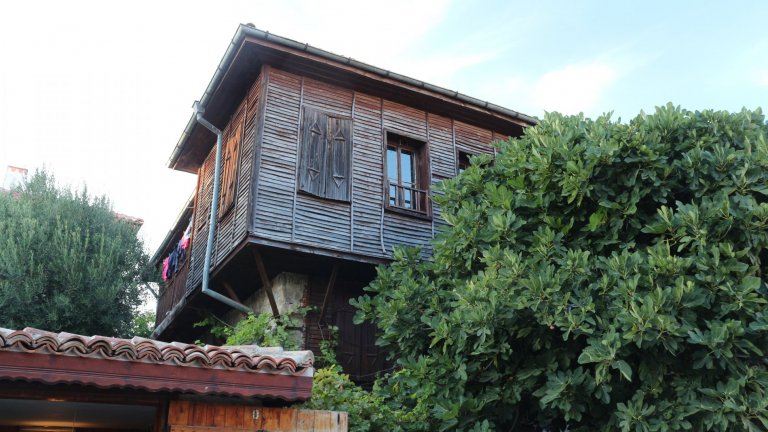 Огромните созополски смокини и техният средиземноморски дух