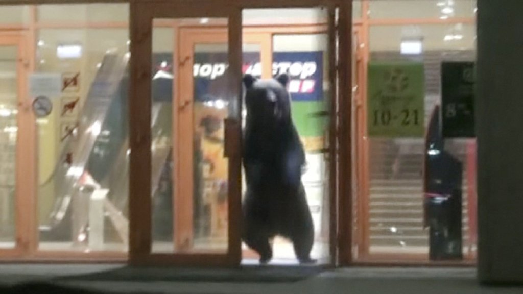 Russia Bear on Streets