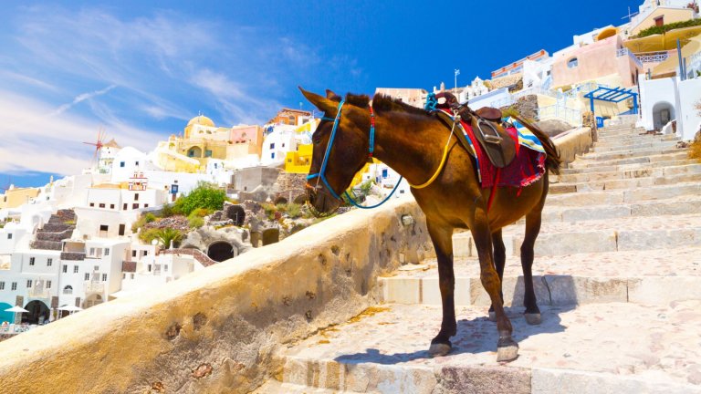 Освен уникална традиция, те са и източник на приходи за местните