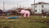 Всички оптимисти си приличат