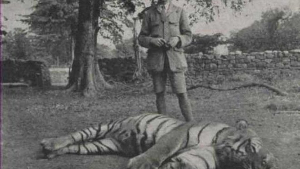 Powalgarh