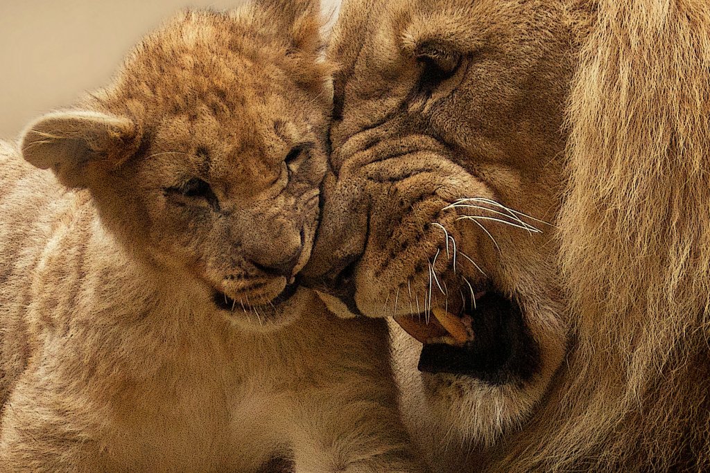 Лъв
"Цар Лъв" не е само филм на Disney. Историята на Симба и Муфаса е и поучителен, дълбок разказ за отношенията баща-син, възпитанието, завета, синовния дълг и ролята на бащата. В реалността нещата не стоят точно по същия начин. Всички знаем, че лъвиците ловуват, докато мъжките лъвове просто са красиви и дремят под слънцето с прекрасните си гриви. Освен това, когато женската донесе някоя антилопа, мъжкият лъв винаги се наяжда първи и чак след това отстъпва месото на лъвицата и малките. 

Но лъвовете не са лоши бащи. Когато прайдът е в опасност, мъжкият лъв става изключително протективен и може сам да защити 30 лъвици и сума ти малки лъвчета. Бащинската му интуиция го прави мнителен и лесно усещащ всяка опасност. По-добре да не му се мяркате тогава. Особено ако сте бракониери.