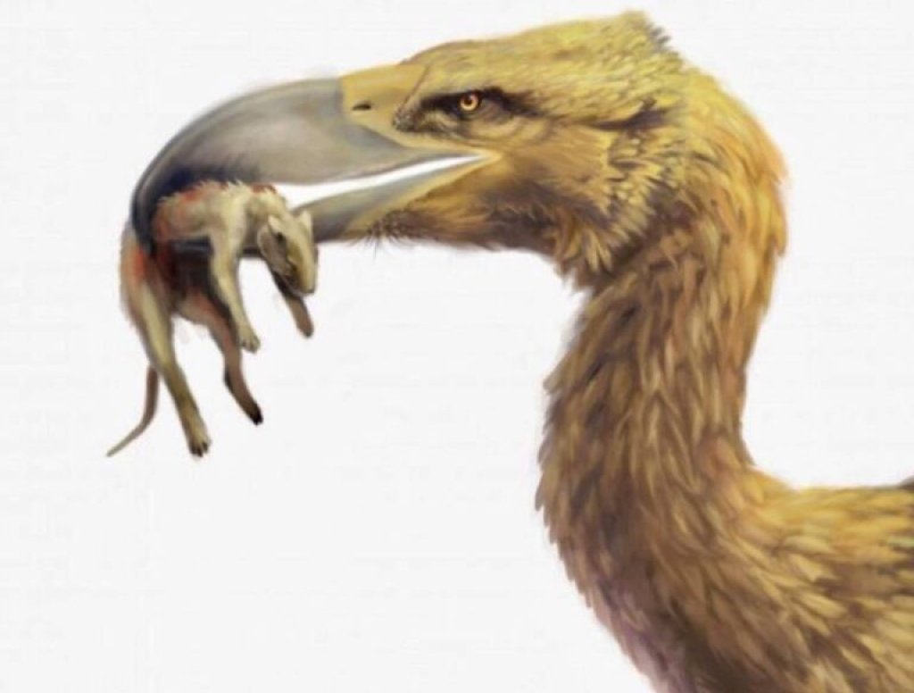 terror-bird-with-prey-768x776