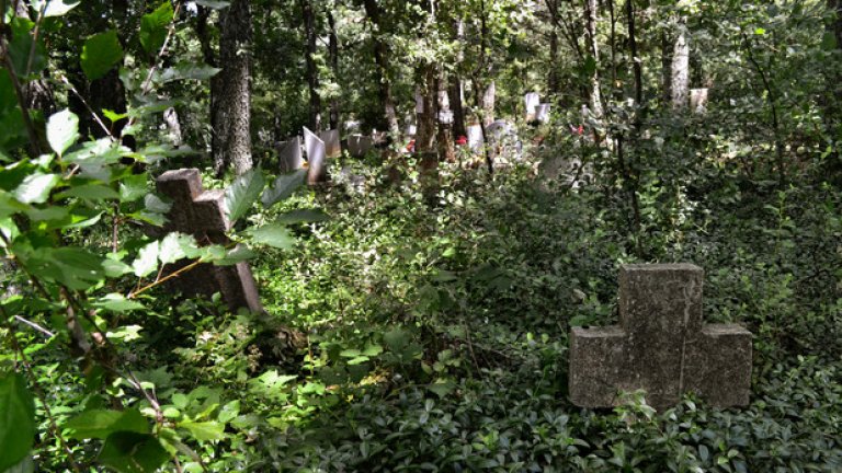 Много от гробовете отдавна не са посещавани. Паметните плочи на погребаните в тях са скрити сред гъстата растителност, встрани от алеите