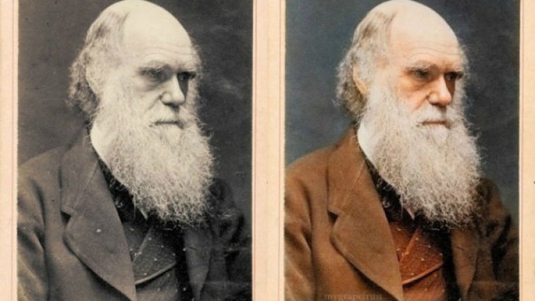 Чарлз Дарвин, 1874 г.