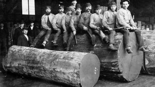 lumberjack, лъмбърджак