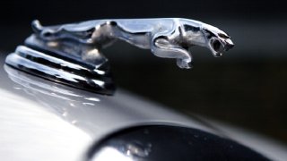 Pictured: The Jaguar motor car company emblem