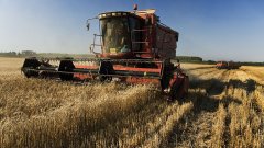 Шепа земеделци в България направиха милиони от еврофондове