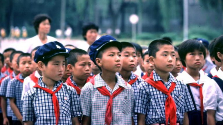Към Работническата партия съществува младежка организаця Съюз на корейските деца, в която членството е задължително за всички ученици между 7 и 13 години

