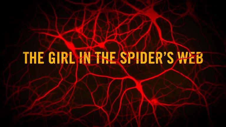 29. The Girl in the Spider`s Web – 19 октомври 2018 г.
На Холивуд не му се получи опита да екранизира поредицата „Милениум” на шведа Стиг Ларшон "Онова, което не ме убива"). През 2011 г. Дейвид Финчър режисира филм по първата книга от поредицата, който, въпреки че бе добре приет, не успя да докара достатъчно пари. Догодина ни чака лента по четвъртата книга с изцяло нов актьорски състав. Само може да стискаме палци.
