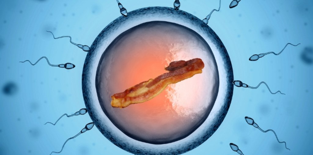 Bacon-and-Sperm