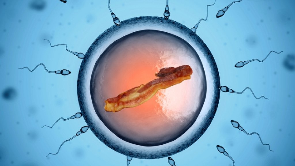 Bacon-and-Sperm