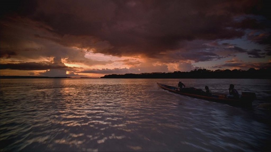 amazonia