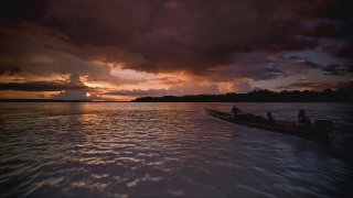 amazonia