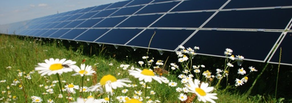 Solarpark_Salmdorf_1_MWp_1