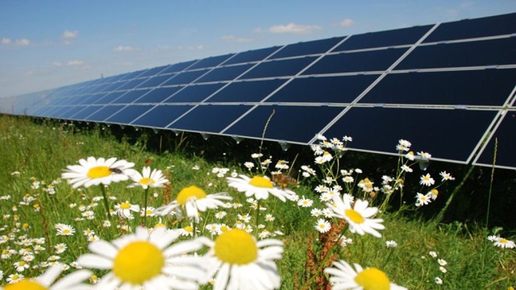 Solarpark_Salmdorf_1_MWp_1