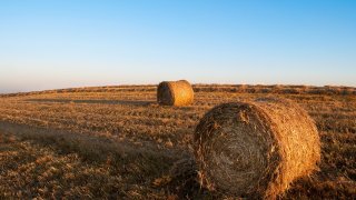 sky-field-agriculture-harvest