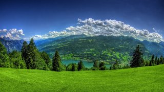 Green-Nature-wallpaper