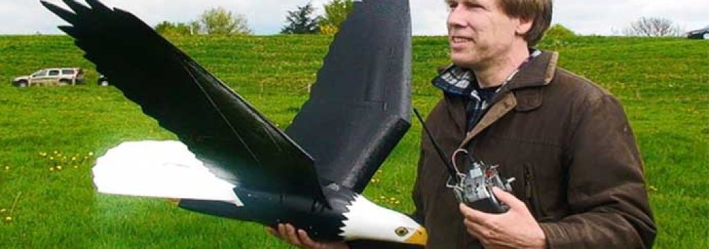 eagle robo