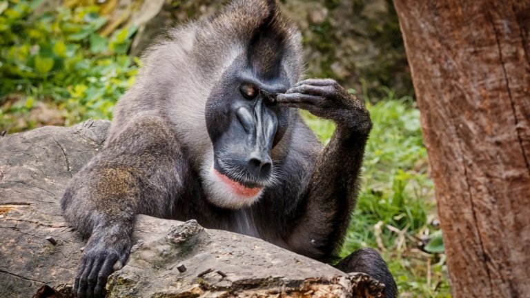 Най-добре названията на болестите да се кодират с цифри и тиренца, хем няма да знаем от какво страдаме