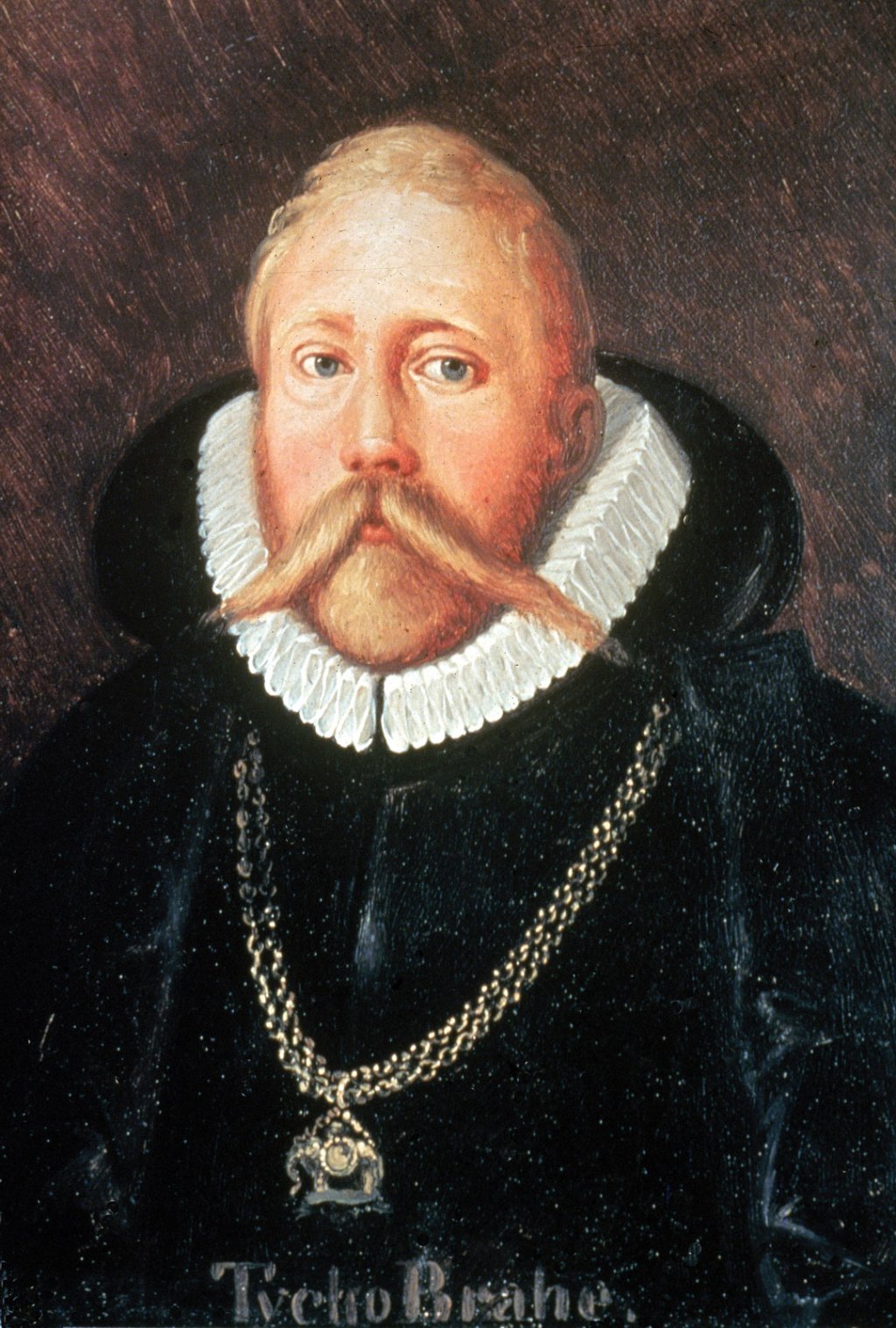 Tycho_Brahe