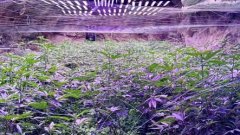 При акцията в понеделник са заловени близо 70 кг наркотици, пари и оръжия