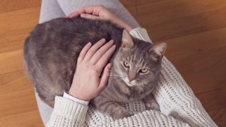 Проява на привързаност или на обичайния егоизъм е това