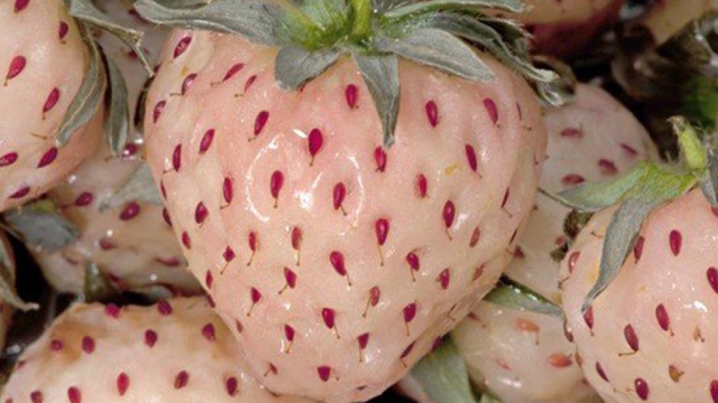 pineberry