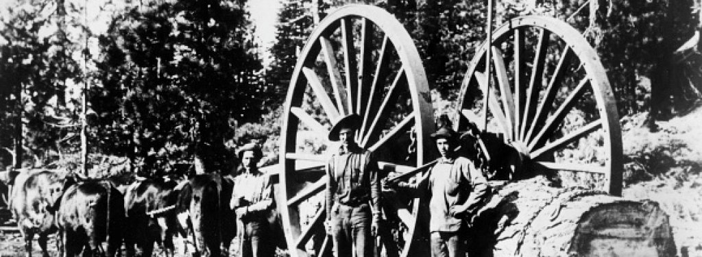 Истинските lumberjacks
