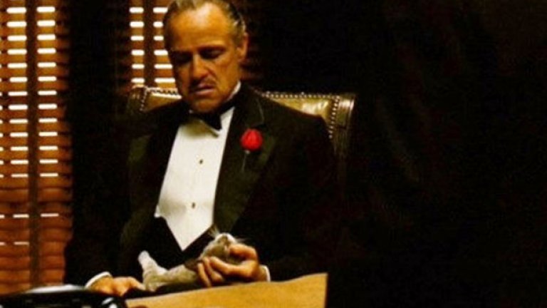 В "Кръстникът" на Франсис Форд Копола от 1972 година, Марлон Брандо импровизира в сцената с котката