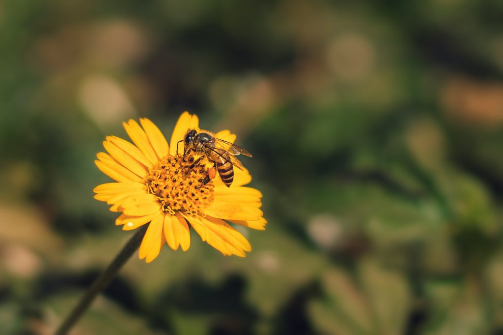 gaurav-kumar-DVsPdLwZaCw-unsplash