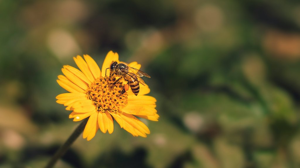 gaurav-kumar-DVsPdLwZaCw-unsplash