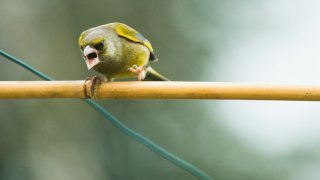 david-knox-W_irudglgK0-unsplash